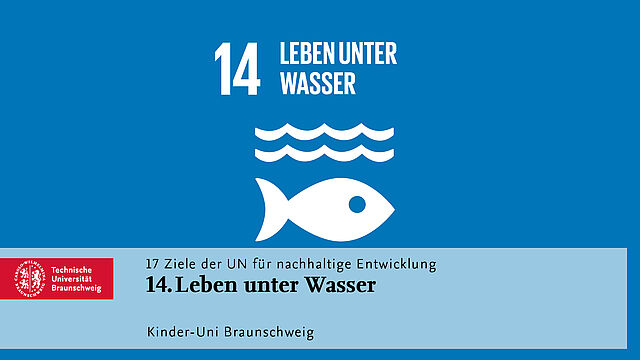 Leben unter Wasser