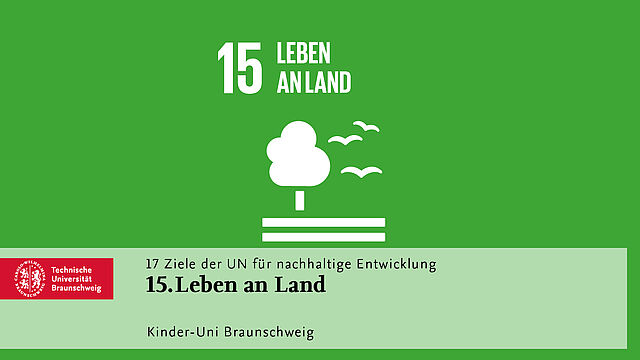 Leben an Land