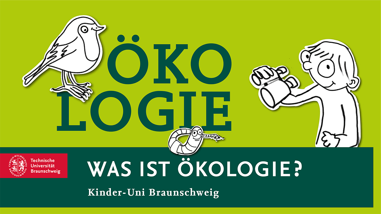 [Translate to English:] Was ist Ökologie?