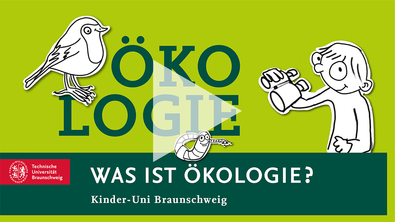 Video: Was ist Ökologie?