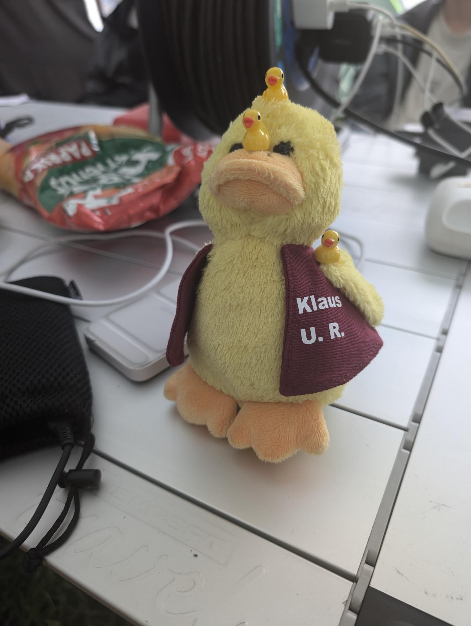 Auf diesem Bild ist Klaus U. R. beim HOA 2024 zu sehen, wie er mit kleineren Enten jongliert.