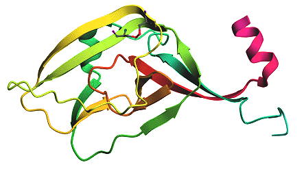 Glycoprotein of Marburg Virus