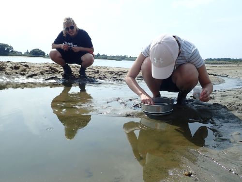 Monitoring Tideelbe