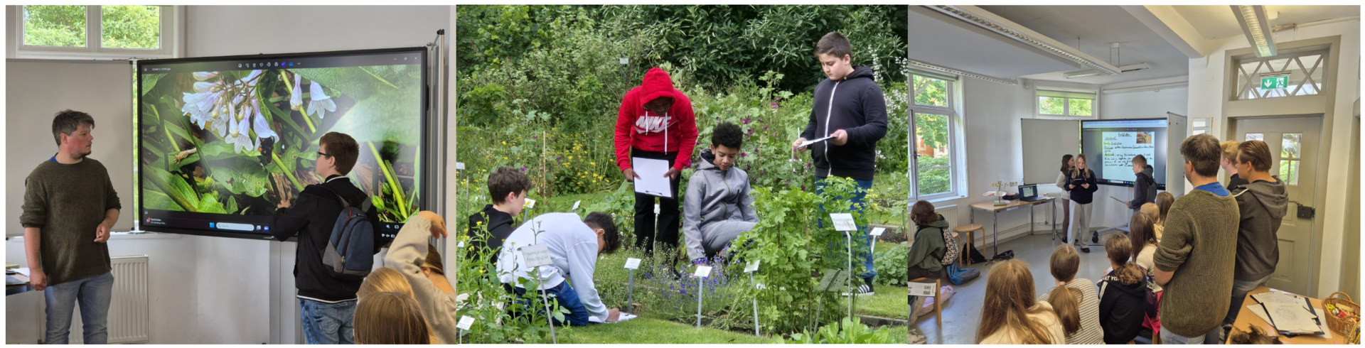 Bilder von Besuchen der Grünen Schule