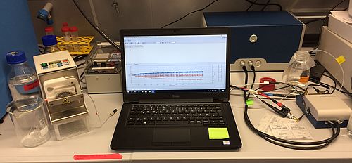 Projektbeschreibung_Hazel Geesink