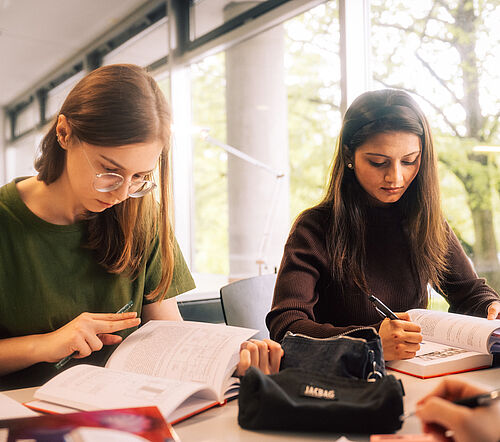 Studierende beim Lernen in der Universitätsbibliothek