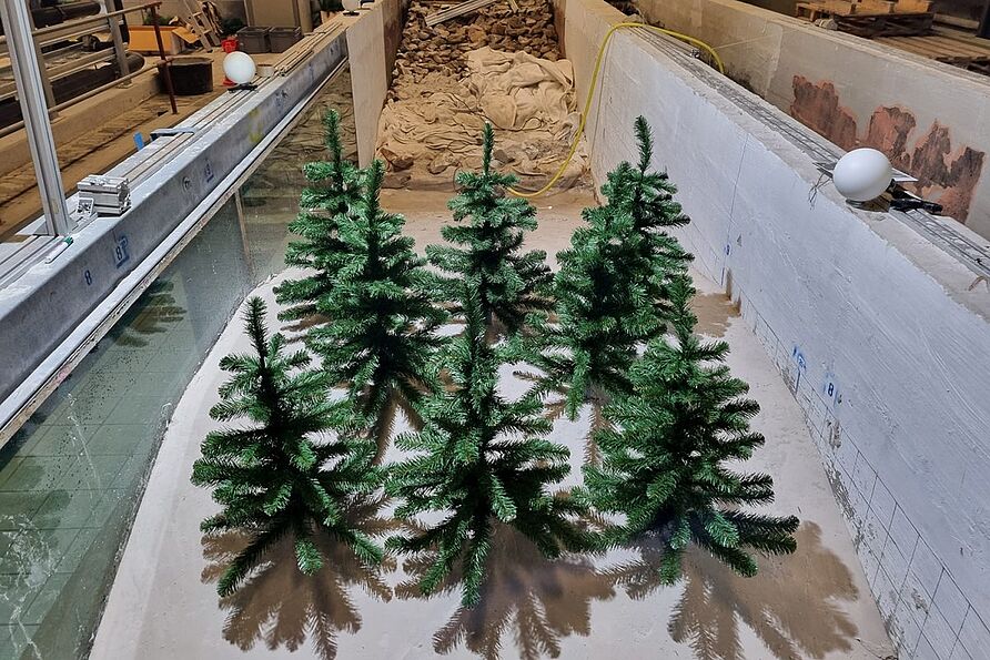 Der kleine Dünenwald aus Weihnachtsbäumen aus dem Baumarkt wird recht natürlich. 