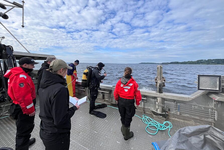 Den anderen Teil meiner Proben bekomme ich aus dem Limfjord. Das ein großer Sund im Norden von Jütland. Hier müssen allerdings Taucher*innen die Sedimentkerne entnehmen. 