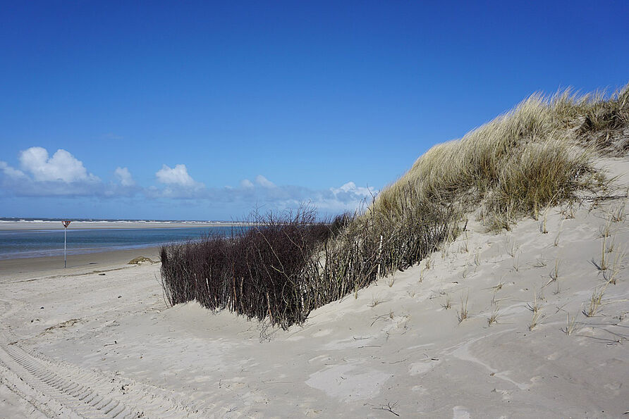 Die Inseln mit ihren Dünen dienen als natürliche Wellenbrecher, hier ein Blick auf den Weststrand auf Spiekeroog.