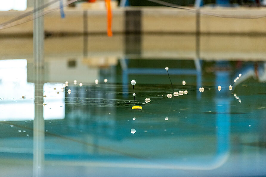 Die Kunststoffseile, an denen der Seetang wächst, werden durch Schwimmkörper an der Wasseroberfläche gehalten. 