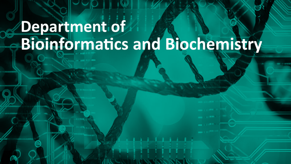 Department of Bioinformatics and Biochemistry