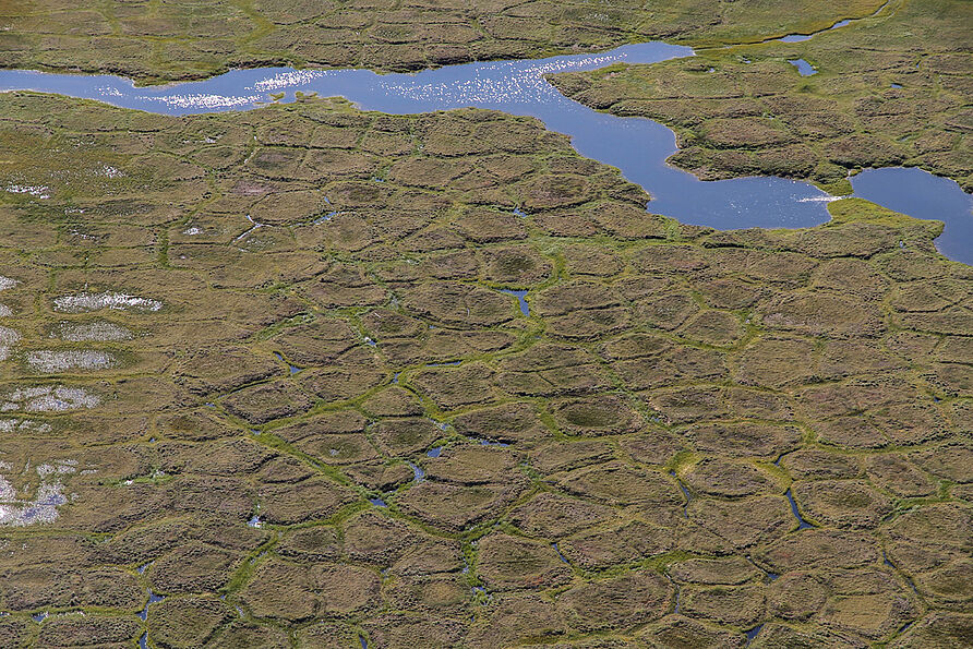 Polygonaler Permafrostboden und Oberflächengewässer auf Herschel Island, Yukon, Kanada.