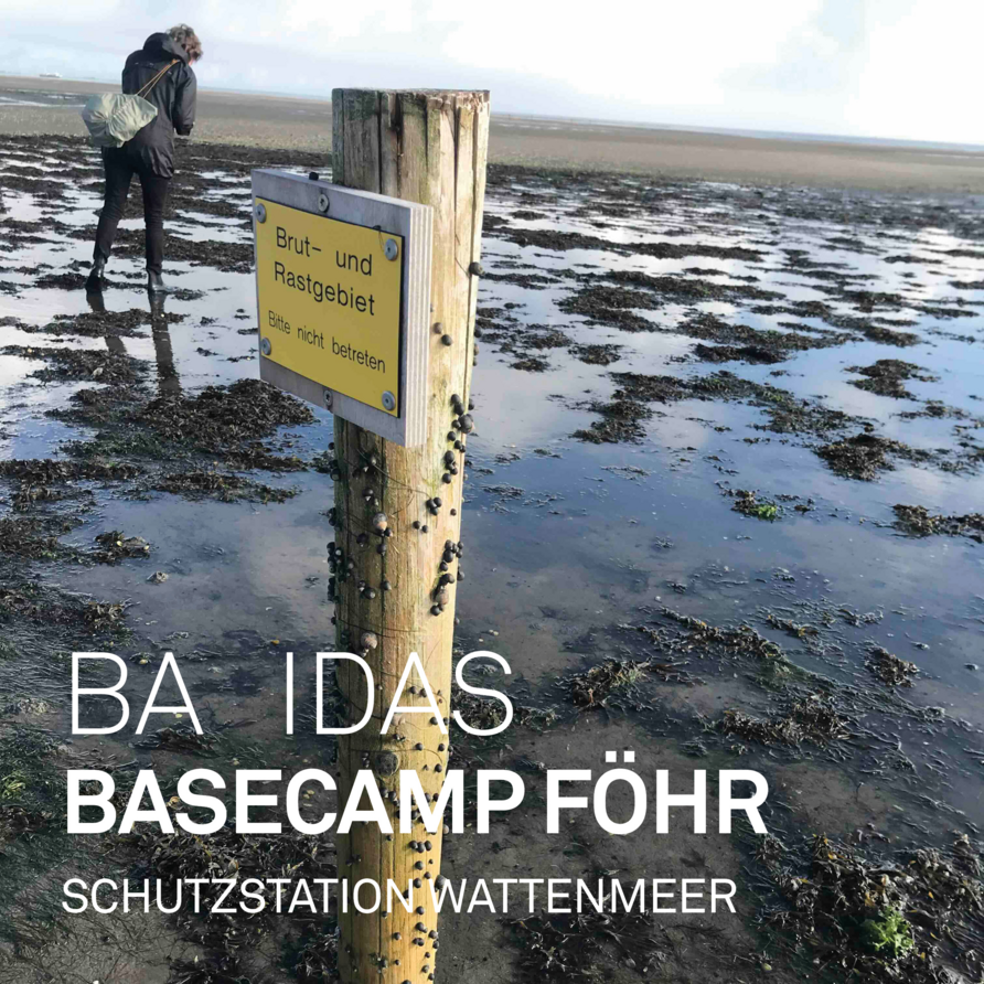 Basecamp Föhr