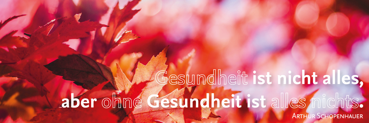 Headerbild Betriebliche Gesundheitsförderung 