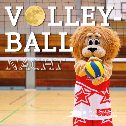 SportLeo mit Volleyball