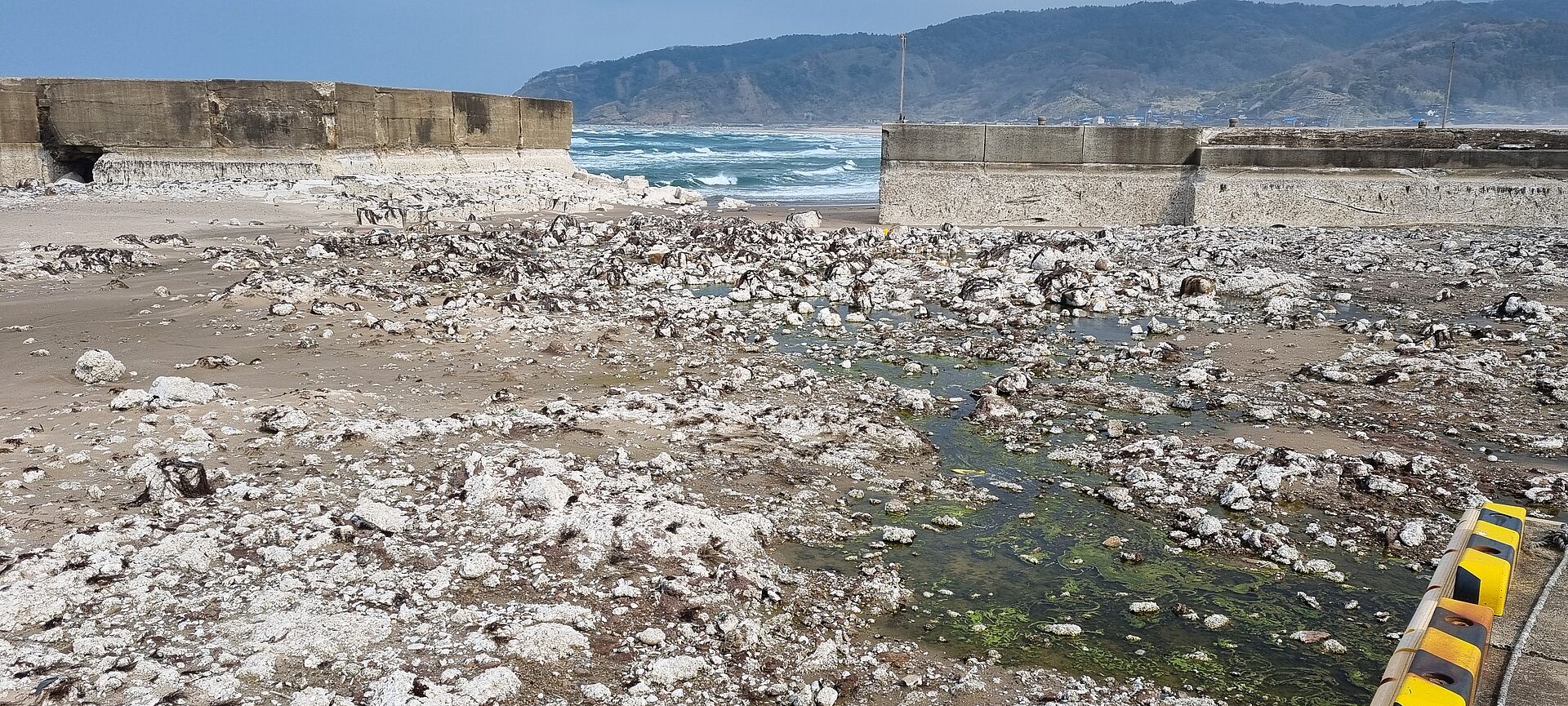 Landhebung im Fischereihafen Korushima, Japan