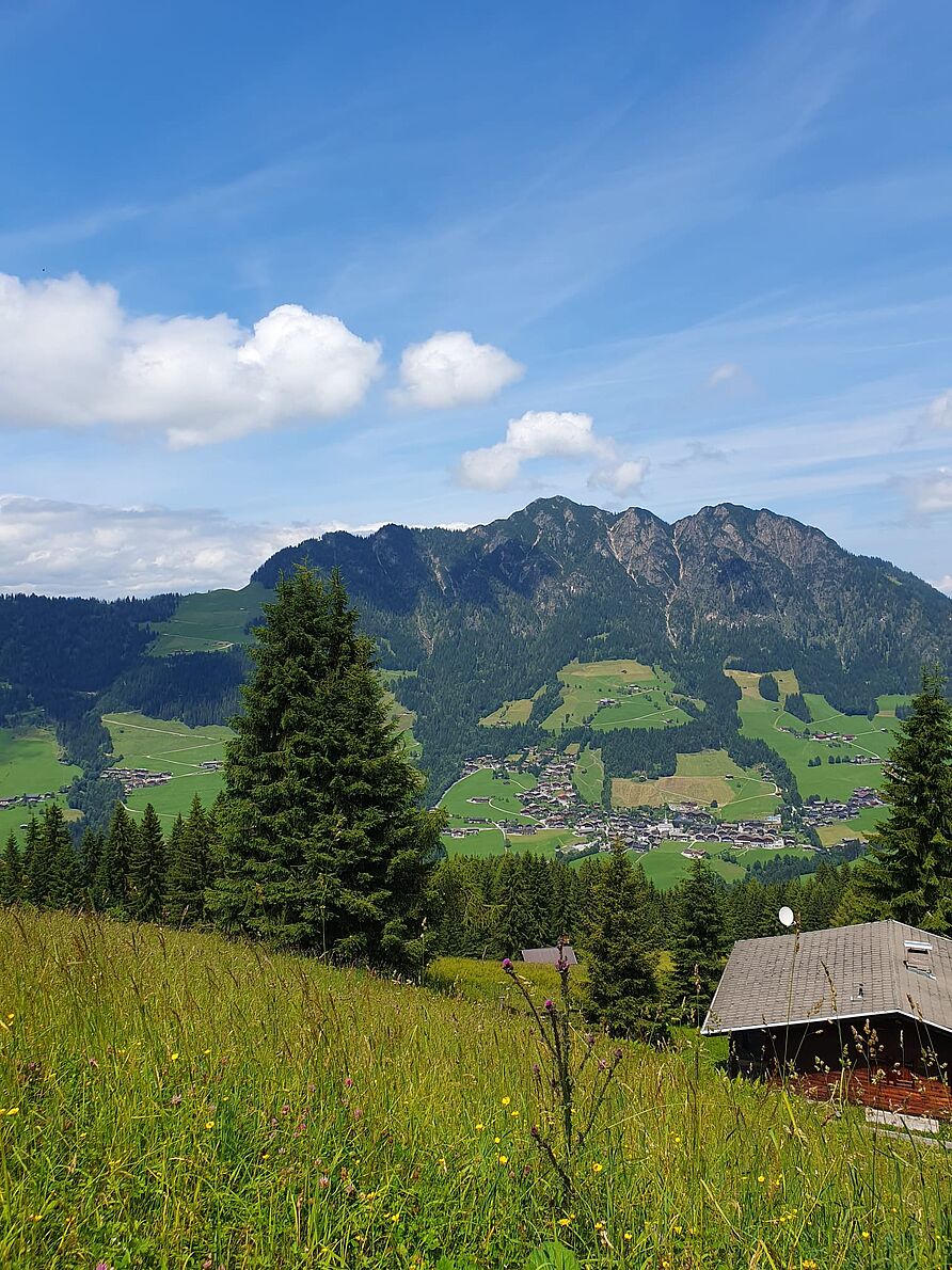 Alpbach Landschaft