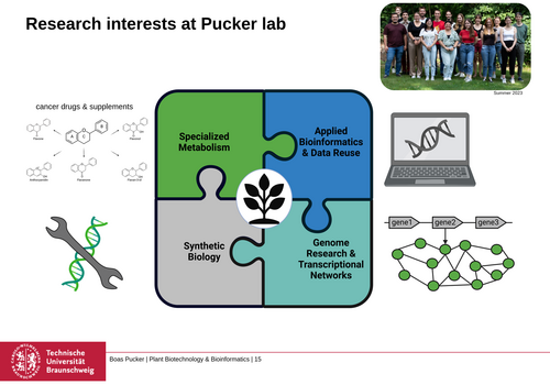 Pucker lab research interests