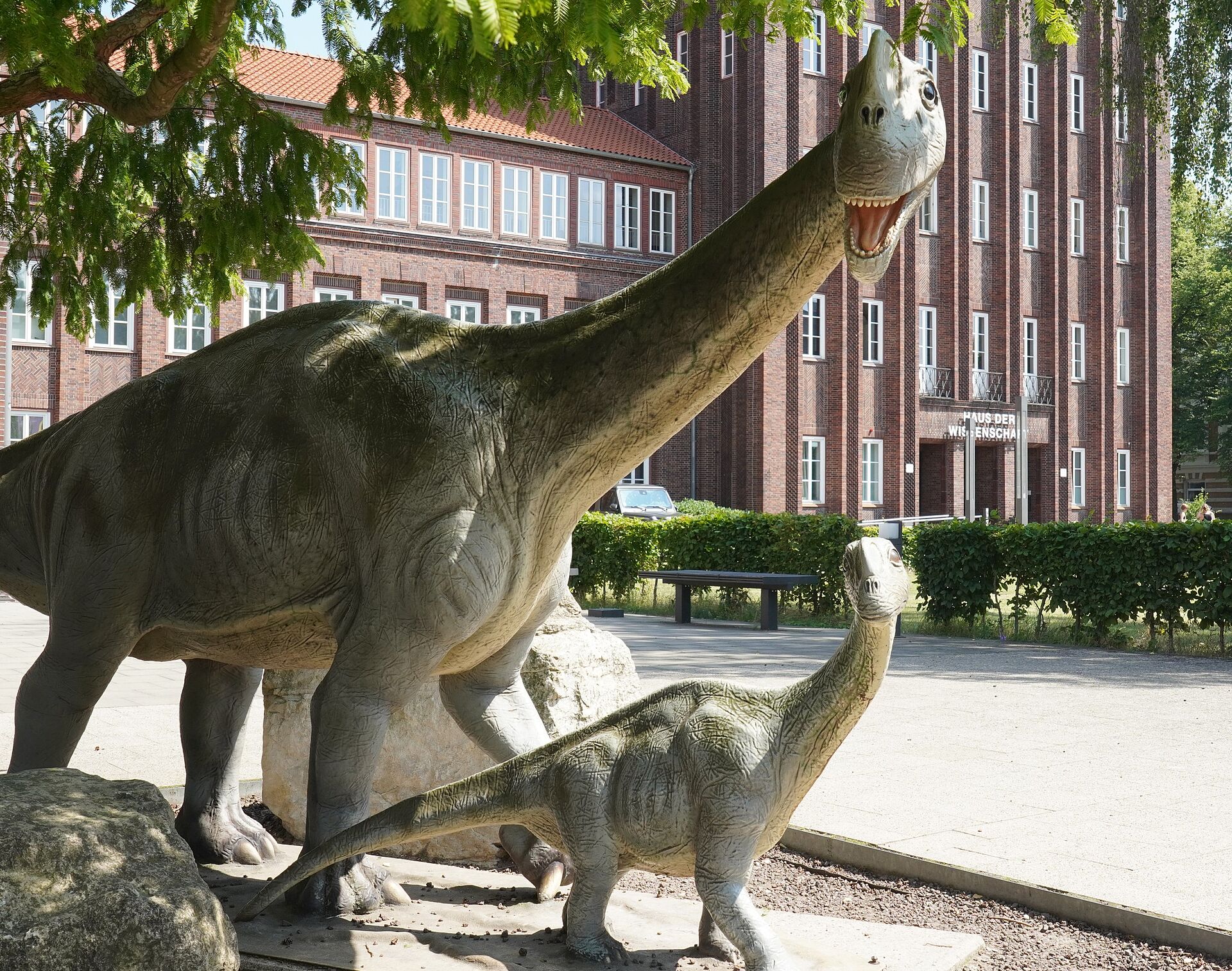Dinosaur models in front of the Natural History Museum with the House of Science in the background