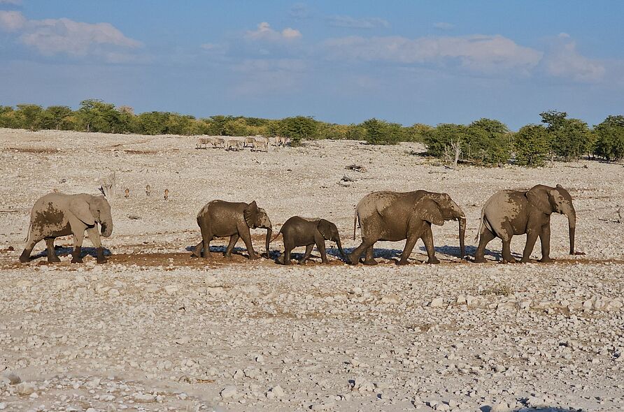 Namibia-Exkursion